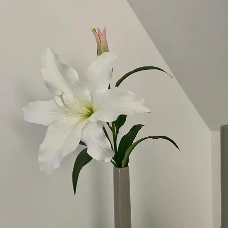 Ruhiges Gaestehaus - 120qm - Garten - 1a Lage 아파트 Niederdorla