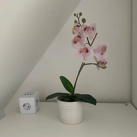 Ruhiges Gaestehaus - 120qm - Garten - 1a Lage Niederdorla