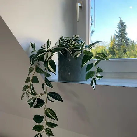 Ruhiges Gaestehaus - 120qm - Garten - 1a Lage 아파트 *