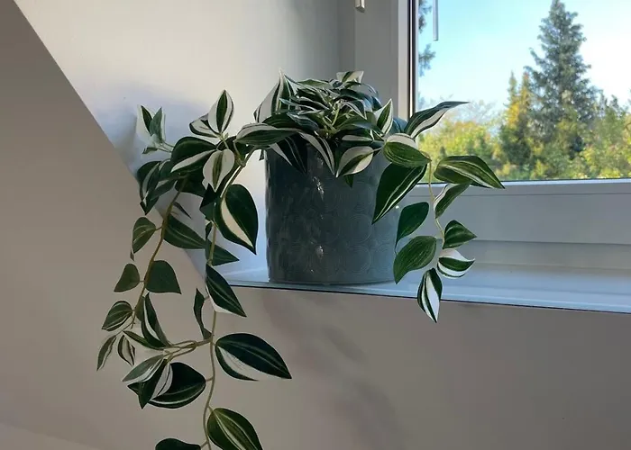 Ruhiges Gaestehaus - 120qm - Garten - 1a Lage 公寓 *