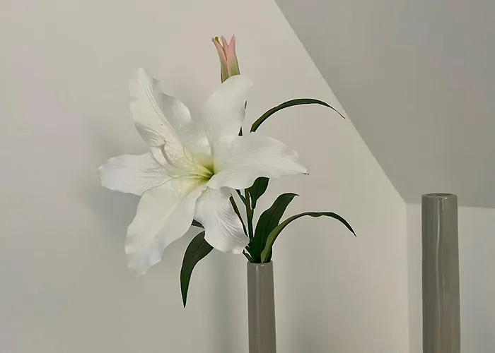 Ruhiges Gaestehaus - 120qm - Garten - 1a Lage 아파트 하노버