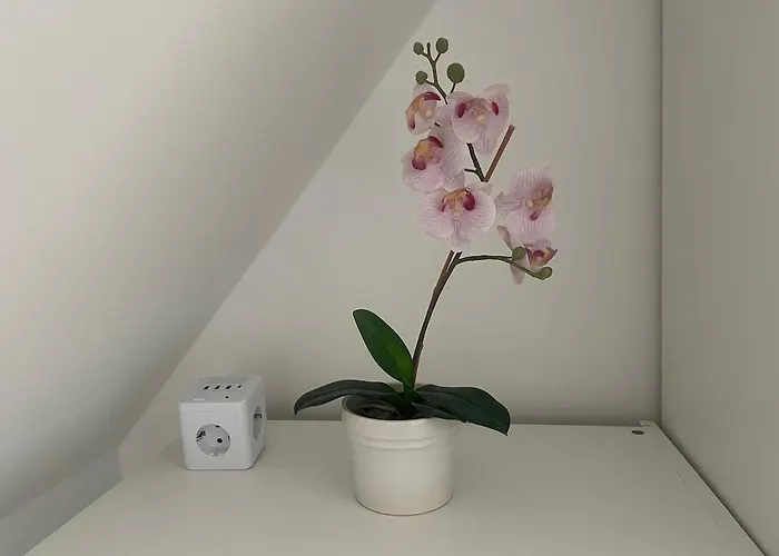 Ruhiges Gaestehaus - 120qm - Garten - 1a Lage 하노버